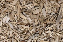 biomass boilers Ardoyne